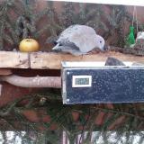 photo 2021-02-14 07-00-36