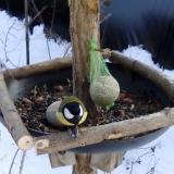 photo 2019-01-11 13-13-16