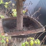 photo 2019-12-14 11-59-53