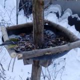 photo 2019-01-07 08-06-04