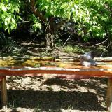 photo 2021-05-10 10-31-15