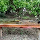 photo 2021-05-07 11-58-39