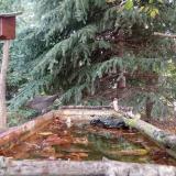 photo 2023-10-10 08-53-57