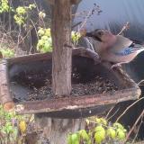 photo 2019-12-14 11-29-10