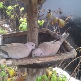 photo 2019-12-02 13-23-23