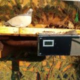 photo 2021-02-22 15-56-29