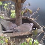 photo 2019-12-06 12-36-22