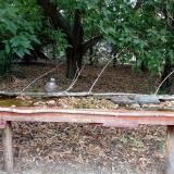 photo 2021-09-20 13-51-33