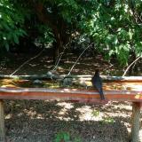 photo 2021-07-08 11-03-00