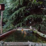 photo 2023-10-10 18-08-35