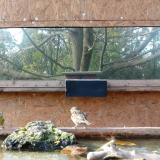 photo 2023-10-26 14-24-34