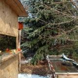 photo 2022-01-09 12-07-34