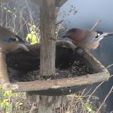 photo 2019-12-23 09-00-41