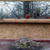 photo 2022-01-16 08-25-28