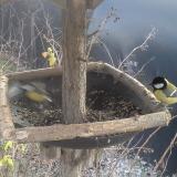 photo 2019-12-29 13-28-10