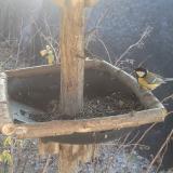 photo 2019-12-30 11-18-04