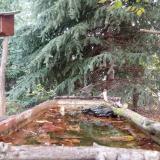 photo 2023-10-10 09-10-31