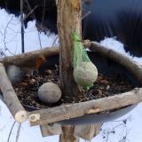 photo 2019-01-11 13-26-32