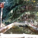 photo 2023-10-12 09-18-25