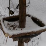 photo 2019-01-08 15-38-56