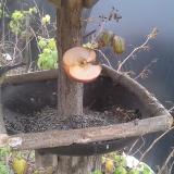 photo 2019-12-05 09-10-26