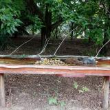 photo 2021-07-22 07-47-36