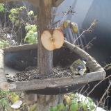 photo 2019-12-03 10-47-37