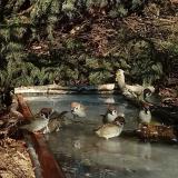 photo 2022-01-14 11-58-46 verebek