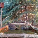 photo 2023-10-14 08-02-08