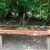 photo 2021-07-20 12-41-07