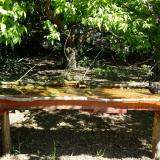 photo 2021-05-10 10-15-52