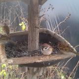 photo 2019-12-25 11-08-15