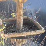 photo 2019-12-27 13-03-00