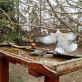 photo 2022-03-17 14-33-27