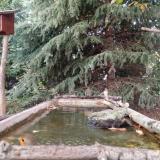 photo 2023-10-13 17-19-05