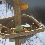 photo 2019-01-27 09-20-05