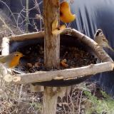 photo 2019-02-03 08-35-20