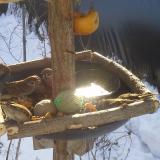 photo 2019-01-27 10-06-48