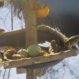 photo 2019-01-27 09-13-11