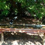 photo 2021-09-26 11-50-46