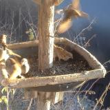 photo 2019-12-30 14-23-27