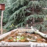 photo 2023-10-20 11-15-47