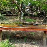 photo 2021-04-27 15-31-19