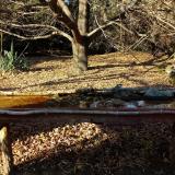 photo 2021-10-25 15-35-03