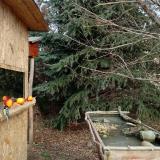 photo 2021-12-22 11-09-15