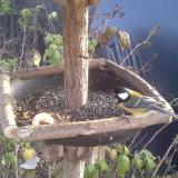 photo 2019-12-08 13-38-53