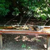 photo 2021-07-23 10-44-38