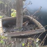 photo 2019-12-20 07-42-30