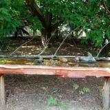 photo 2021-07-24 14-49-49