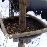 photo 2019-01-08 08-32-56